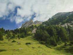 Bosque do Monte Pilatus